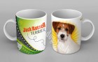 jack_russell_terrier copy